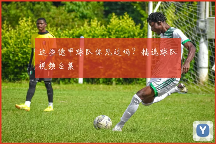 这些德甲球队你见过吗？精选球队视频合集