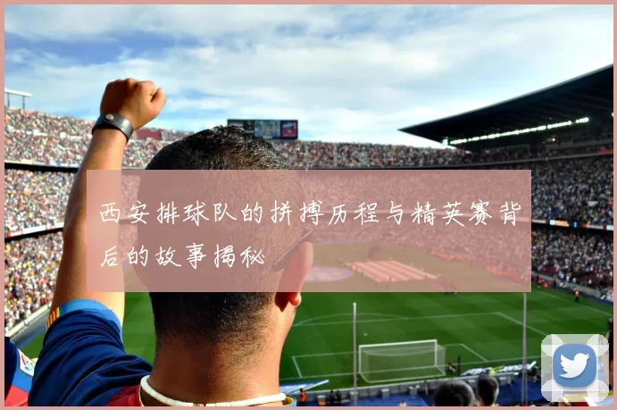 西安排球队的拼搏历程与精英赛背后的故事揭秘