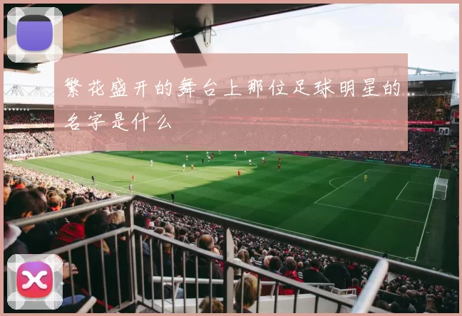 繁花盛开的舞台上那位足球明星的名字是什么
