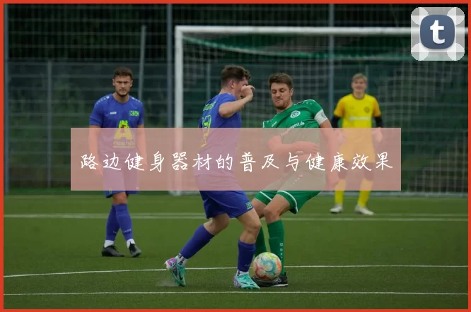 路边健身器材的普及与健康效果