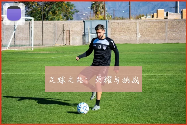 足球之路：荣耀与挑战