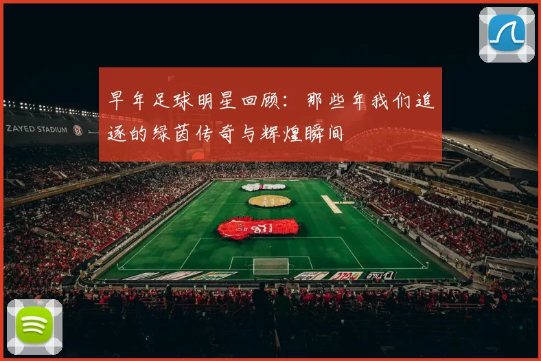 早年足球明星回顾：那些年我们追逐的绿茵传奇与辉煌瞬间