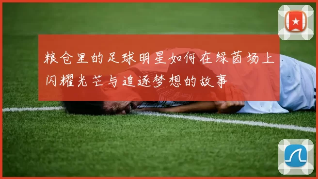 粮仓里的足球明星如何在绿茵场上闪耀光芒与追逐梦想的故事