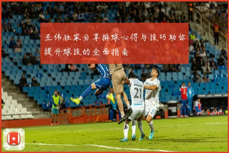 王伟独家分享排球心得与技巧助你提升球技的全面指南