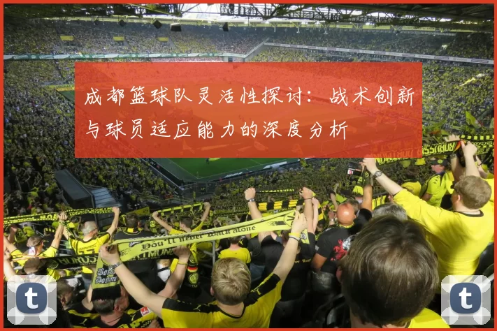 成都篮球队灵活性探讨：战术创新与球员适应能力的深度分析