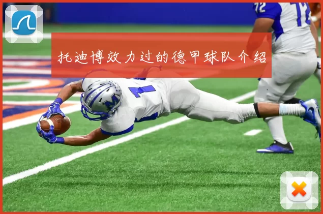 托迪博效力过的德甲球队介绍