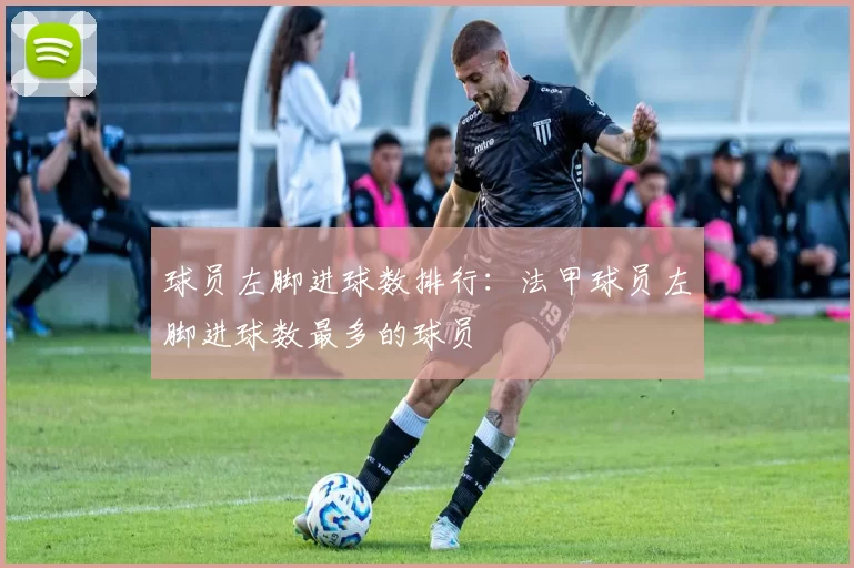 球员左脚进球数排行：法甲球员左脚进球数最多的球员