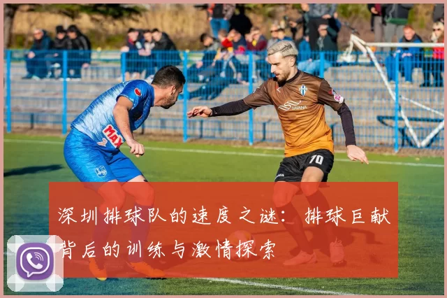 深圳排球队的速度之谜：排球巨献背后的训练与激情探索