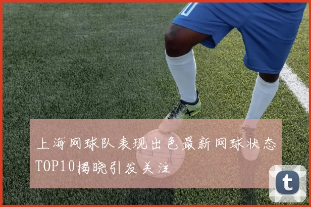 上海网球队表现出色最新网球状态TOP10揭晓引发关注