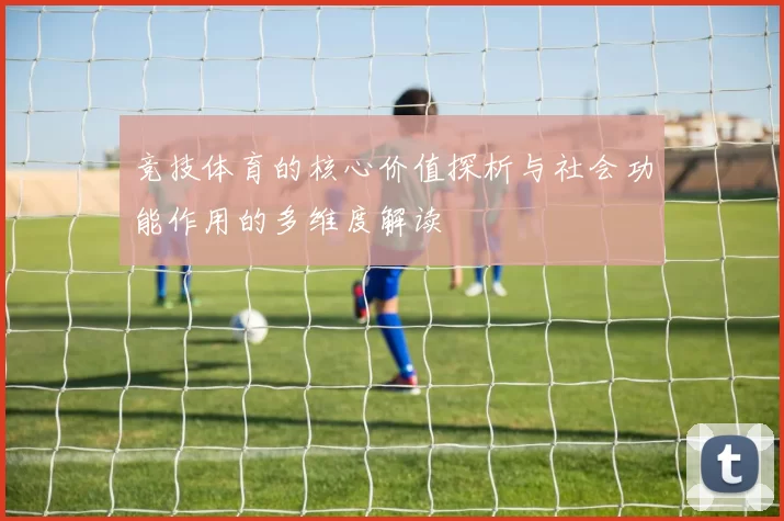 竞技体育的核心价值探析与社会功能作用的多维度解读