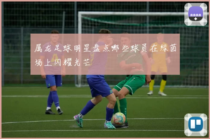 属龙足球明星盘点哪些球员在绿茵场上闪耀光芒