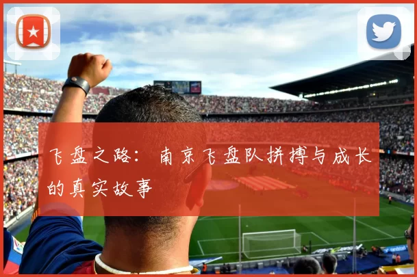 飞盘之路：南京飞盘队拼搏与成长的真实故事