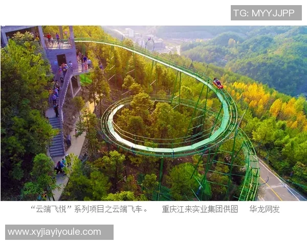 深圳与重庆极限运动队赛后复盘分析意识碰撞与战术较量