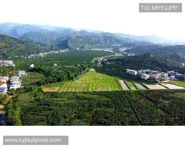 果园生态循环与可持续发展：从种植到收获的全链条探索与实践