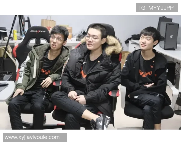 V5战队在英雄联盟赛季中的运营策略分析与成败得失探讨