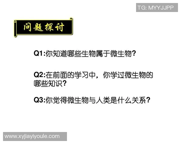 上海乒乓球队的节奏体系与战术运用探讨及其对比赛胜负的影响分析