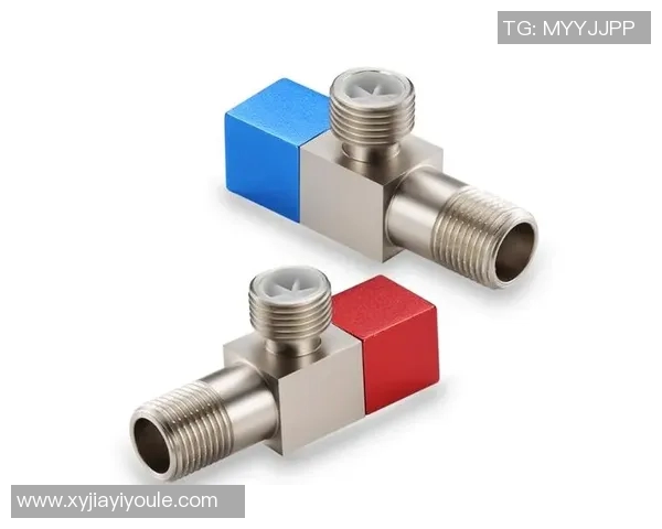 水管阀门的选择与维护技巧及其在家庭水系统中的重要性解析